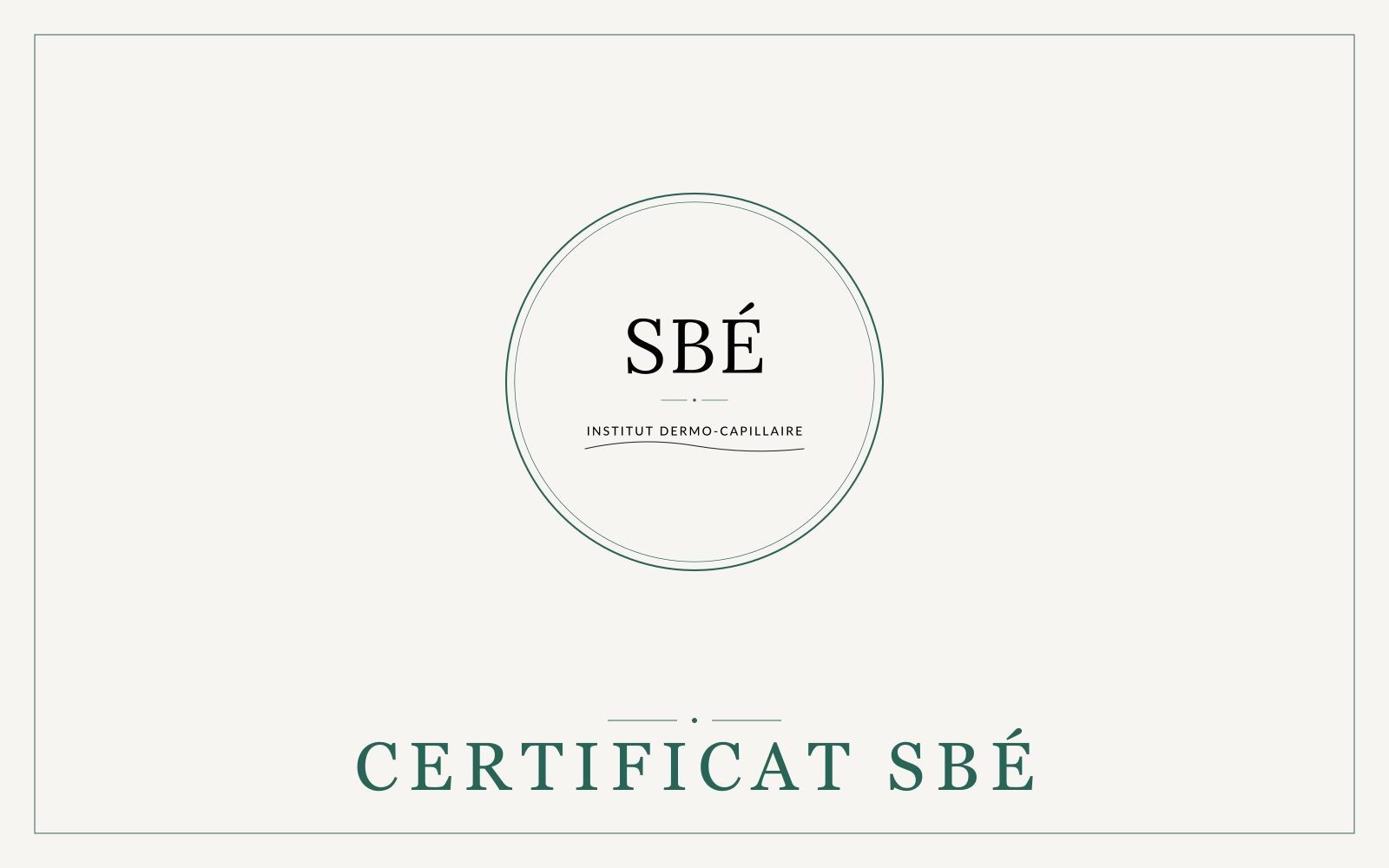 Aperçu du Certificat SBÉ